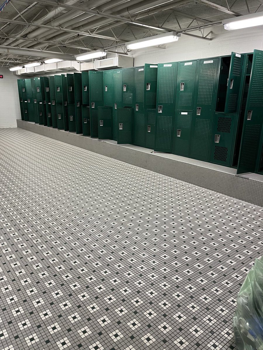 Tim Rogers tweet media