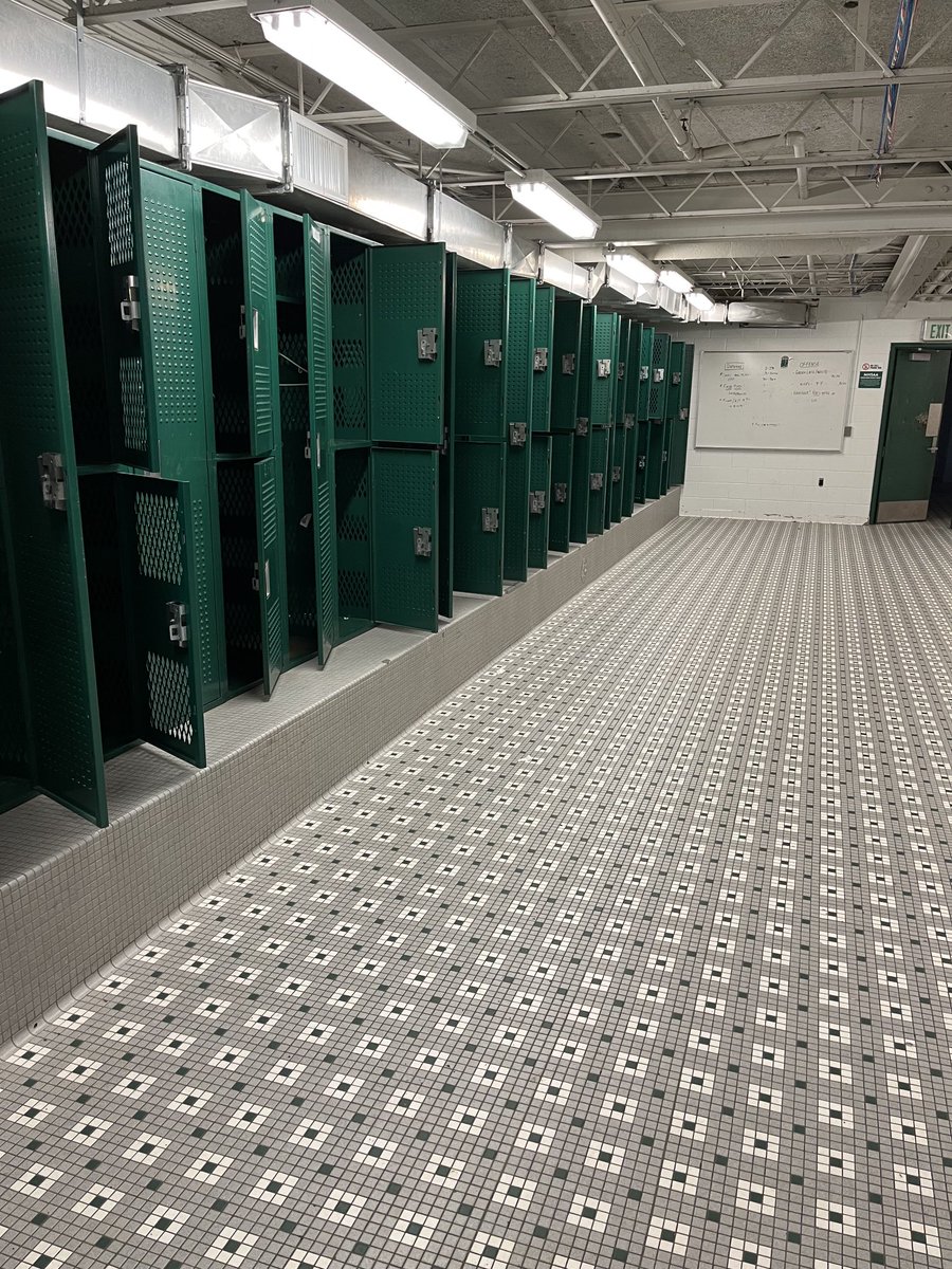 Tim Rogers tweet media