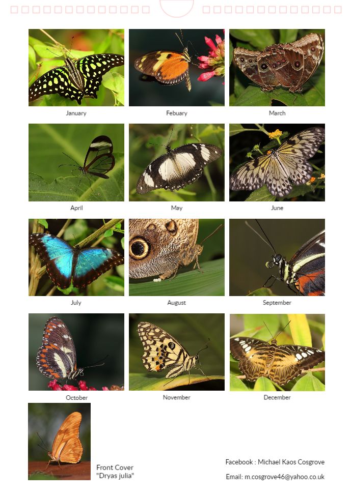 KaptainCosgrove's tweet photo. "Butterflies Of The World Charity Calendar 2023" ALL PROCEEDS (£7.50.per calendar) To 'The Friends Of Sefton Park'.The Calendar Contains Thirteen Photo's Of Butterflies Found In Chester Zoo. Available (1st Dec) From The 'Boat House Kiosk' Cafe,Main Lake.
@ILoveSeftonPark https://t.co/u7JUbsBorb