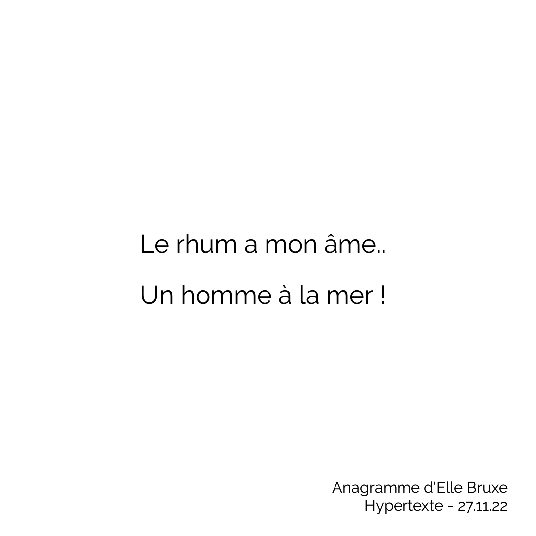 _nils_'s tweet photo. #Anagramme d'@ElleBruxe (2017) https://t.co/fO0FpxqfC2