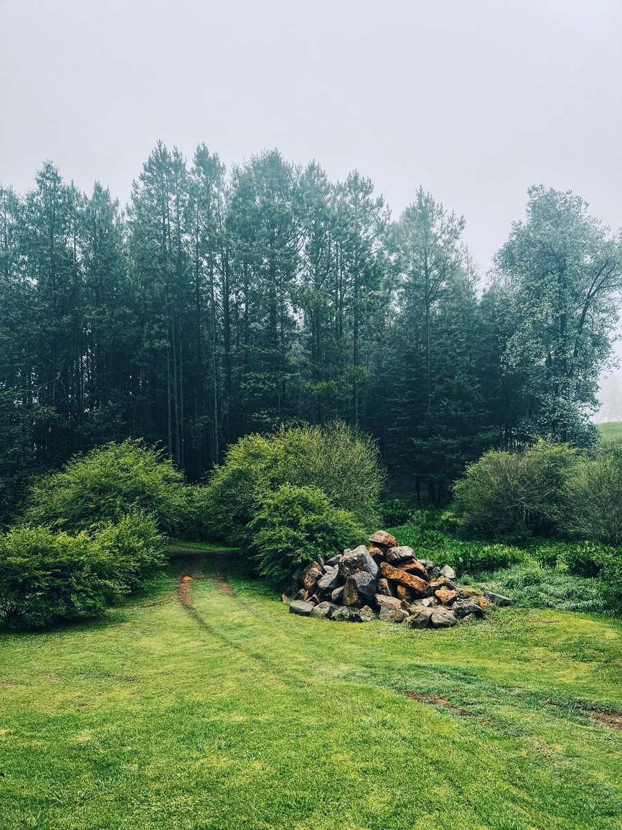 In the woods. #Haycroft #Midlands