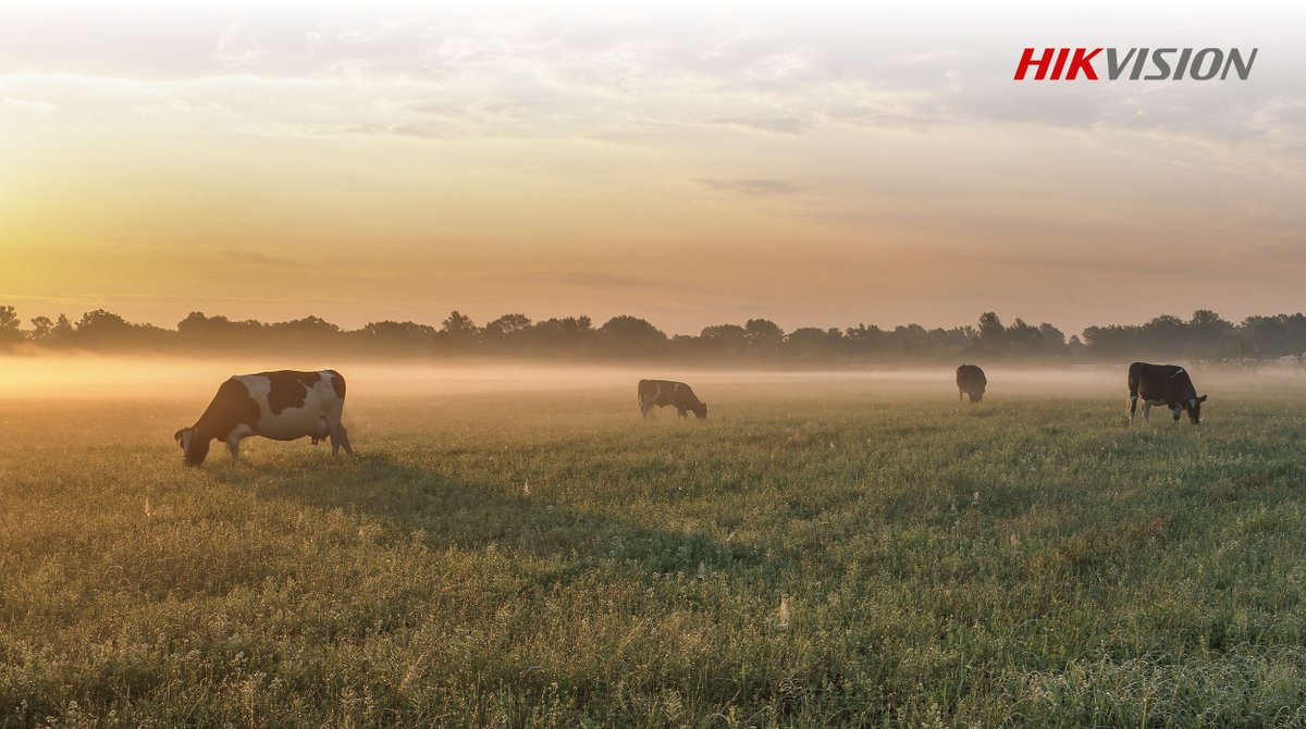 Hoy os presentamos la segunda parte del artículo sobre la solución integral que ofrece Hikvision para que los mataderos garanticen el bienestar animal. Os contamos las ventajas de HikCentral para lograr una gestión completa en estas instalaciones 👉 hikvision.com/es/newsroom/bl…
