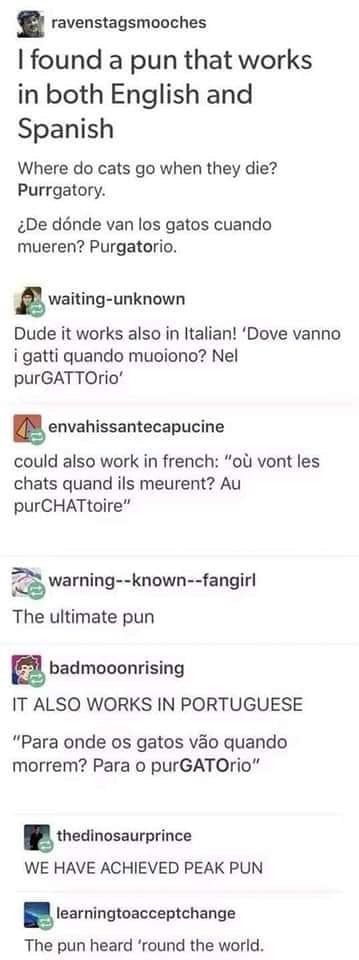 WholesomeMemes tweet media