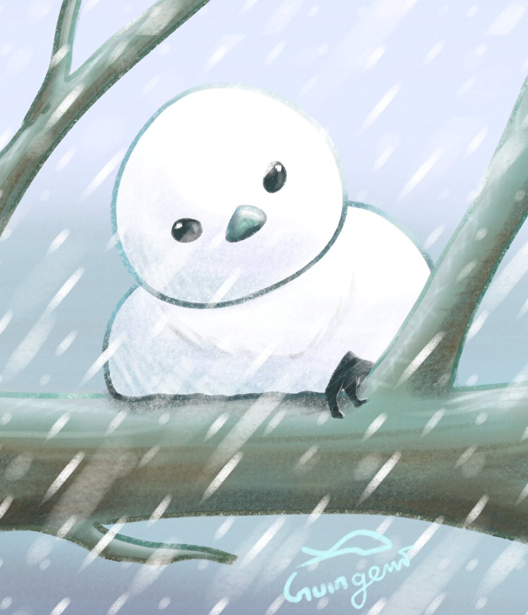 Guingami tweet media