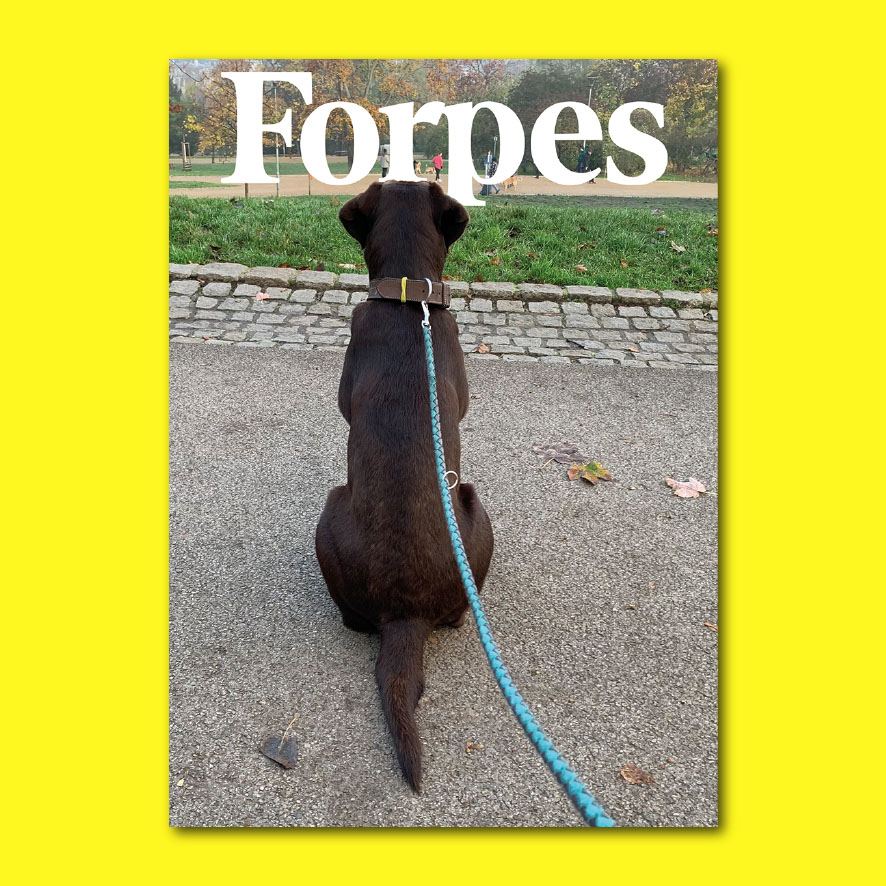 Labradosti's tweet photo. #labrador #joybrador #labradosti #Forbes #decathlon #apropos #decameron https://t.co/oTTIsTVgEW