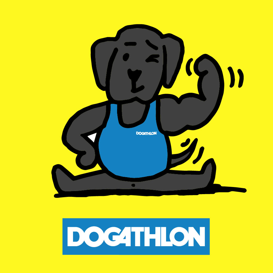 Labradosti's tweet photo. #labrador #joybrador #labradosti #Forbes #decathlon #apropos #decameron https://t.co/oTTIsTVgEW