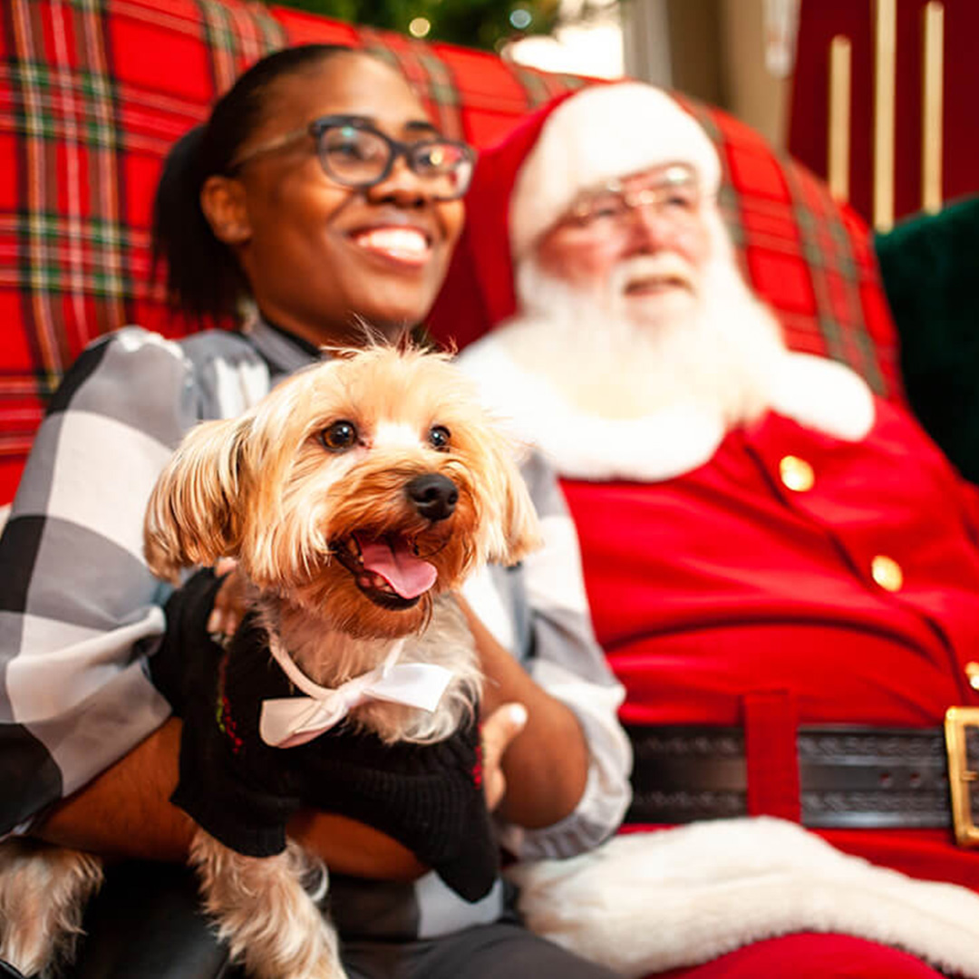 Bring your pets over for a fun night with Santa and get their pictures taken, tomorrow, Nov. 28 from 4 to 7PM! 🐕 If you can't make it this week, mark your calendar for Monday, Dec. 5 so you don't miss out! Pre-book your photos here: bit.ly/3sNNWFX. 🐾