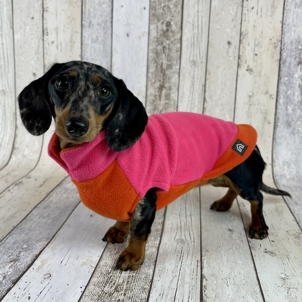 NEW FLEECE ALERT 🚨 sorry but how amazing are these two-tone fleeces?! Limited edition! Use code COLOURFRIDAY for 10% off 💖✌️ doghouse.co.uk/products/two-t…