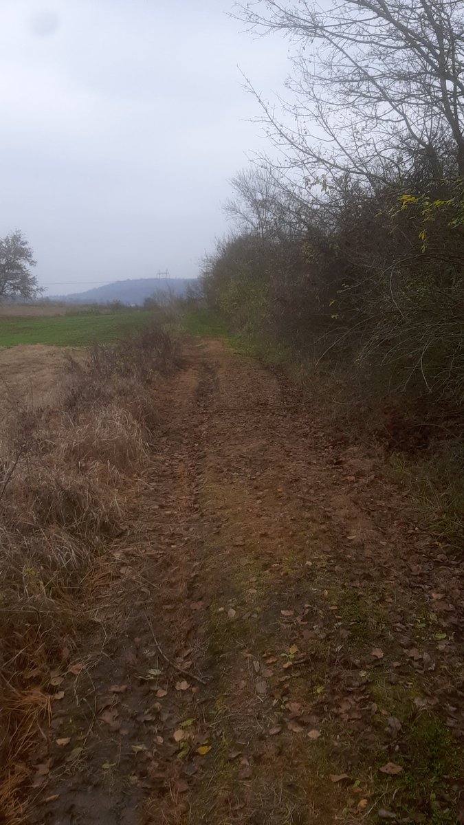 napsihijatrija's tweet photo. #есенскивибрации
#12km #walk #enjoywalking https://t.co/j9hUicVyIk