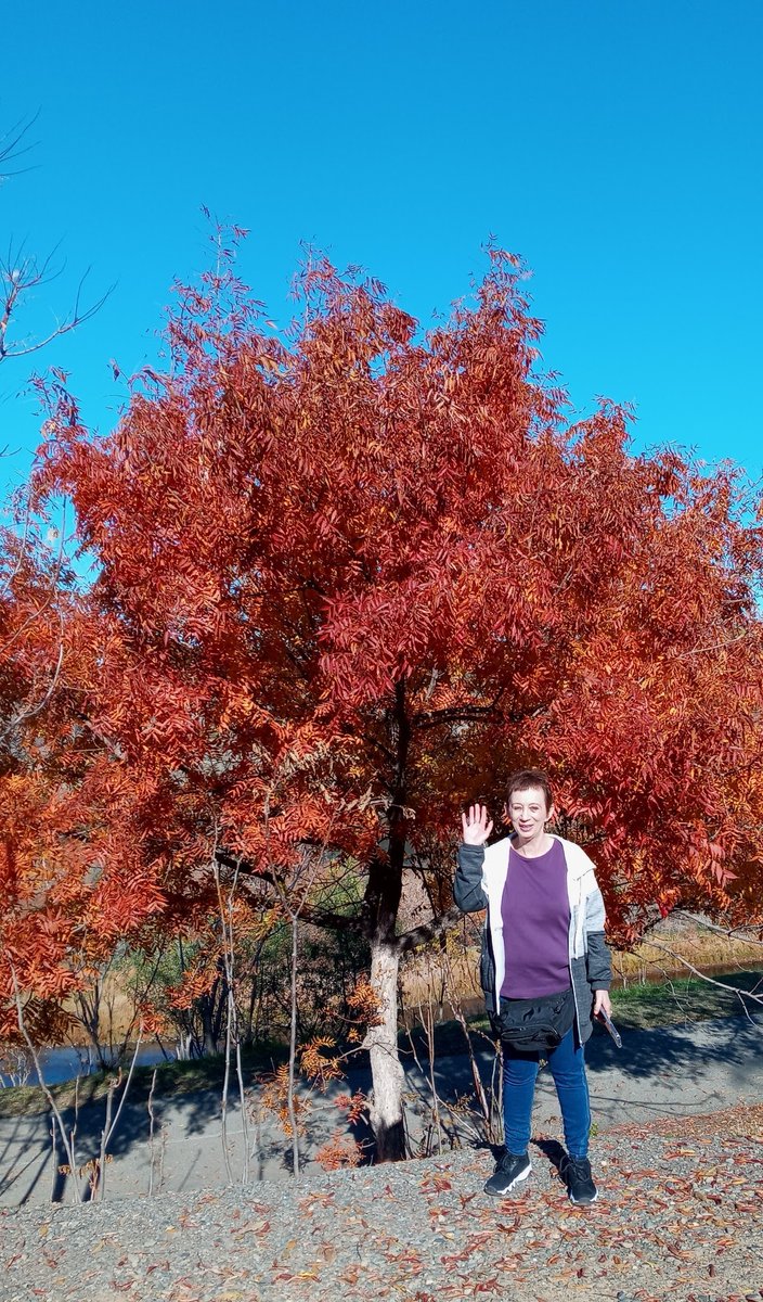 patrice_brooks's tweet photo. Enjoyed a beautiful morning walk.  First one since spinal cord surgery. https://t.co/8SQgbOozYn