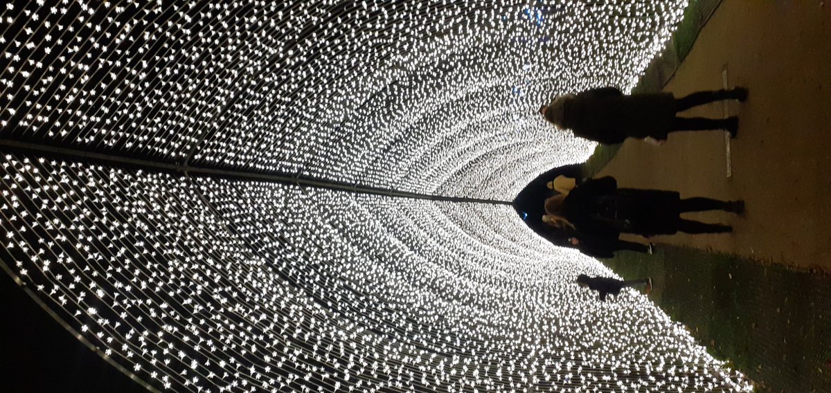 Patrick Letham tweet media