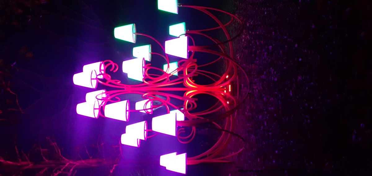 #leedscastle#christmaslights#kent#lightshow