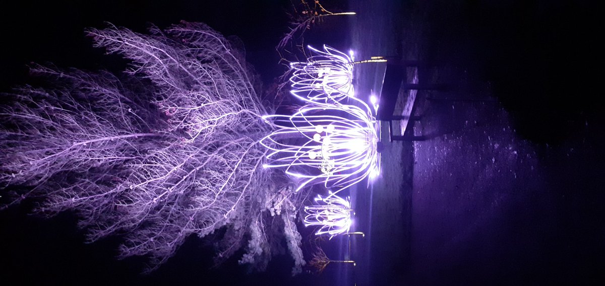 Patrick Letham tweet media