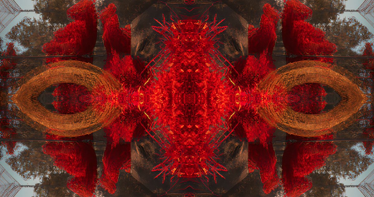 50mmCollective's tweet image. 🎭 ANOTHER SALE 🎭

Congrats @june_redthread on selling &quot;Divine Harvest&quot; from the Meta Masquerade Collection!!

secondary offers are already coming in HOT! 🚀👏🏾

View the collection here: objkt.com/collection/KT1…