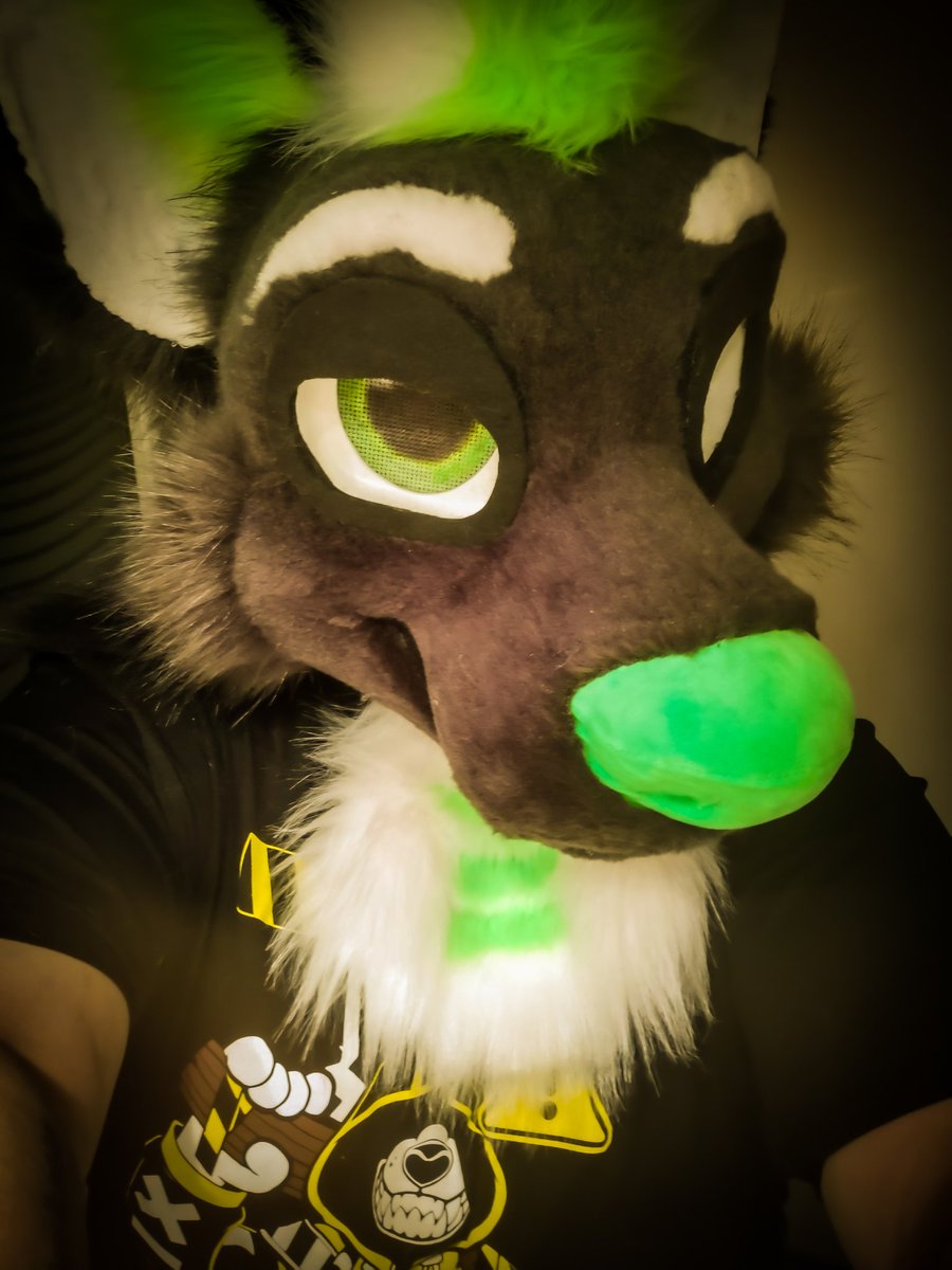 2BlueK9s's tweet photo. We don't think you're ready to be around this rascal!

Soon he's completely done💚

Partial suit for @batteryfoxz https://t.co/3evpxyqsvj