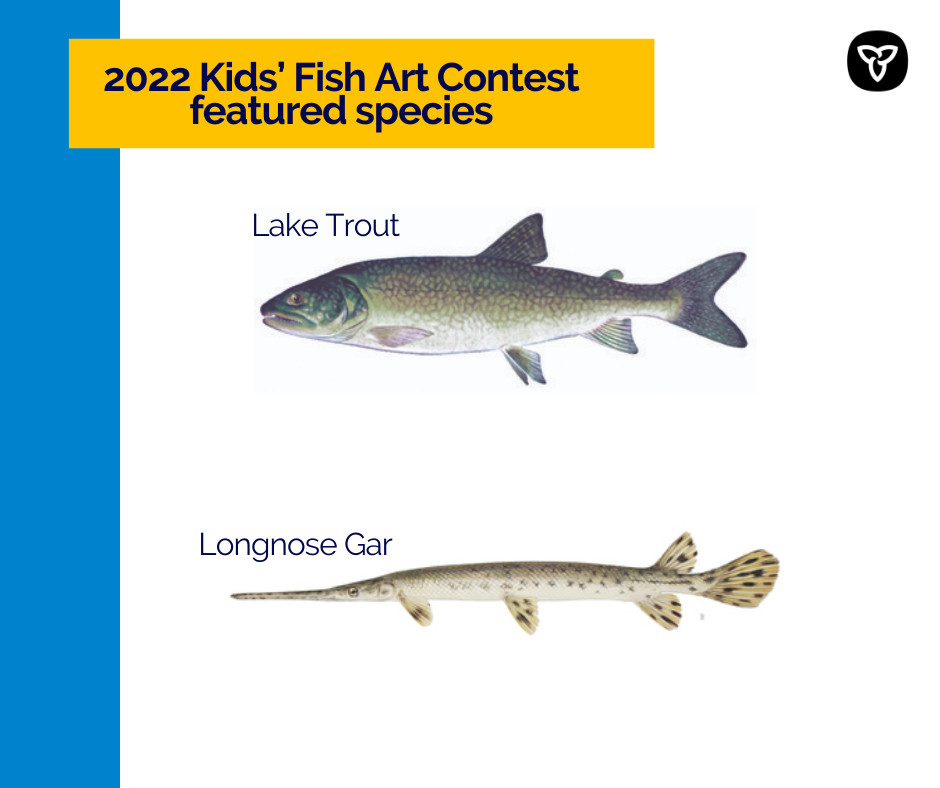 ONresources's tweet photo. Our Kids' #FishArtContest is now open!

This year’s featured species are the longnose gar and lake trout. Students can learn about fish species and their habitat, while showcasing their artistic talents!

Contest closes Dec 31. Details at: https://t.co/SHngDi7lvH. https://t.co/z3KUdKcaHw