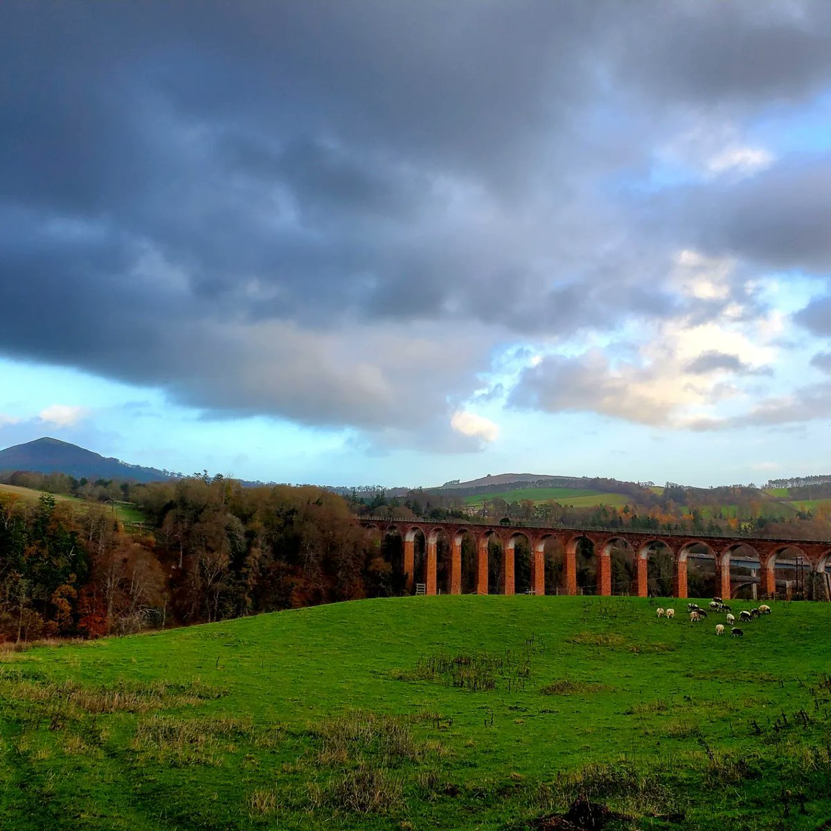 blonde_on_bikes's tweet photo. Afternoon walk from Melrose to Newstead @Sedgeburn
#trimontium #rhymersstone #eildonhills #melrosepaths #scottishborders #batterydyke https://t.co/JhYiwHEERk