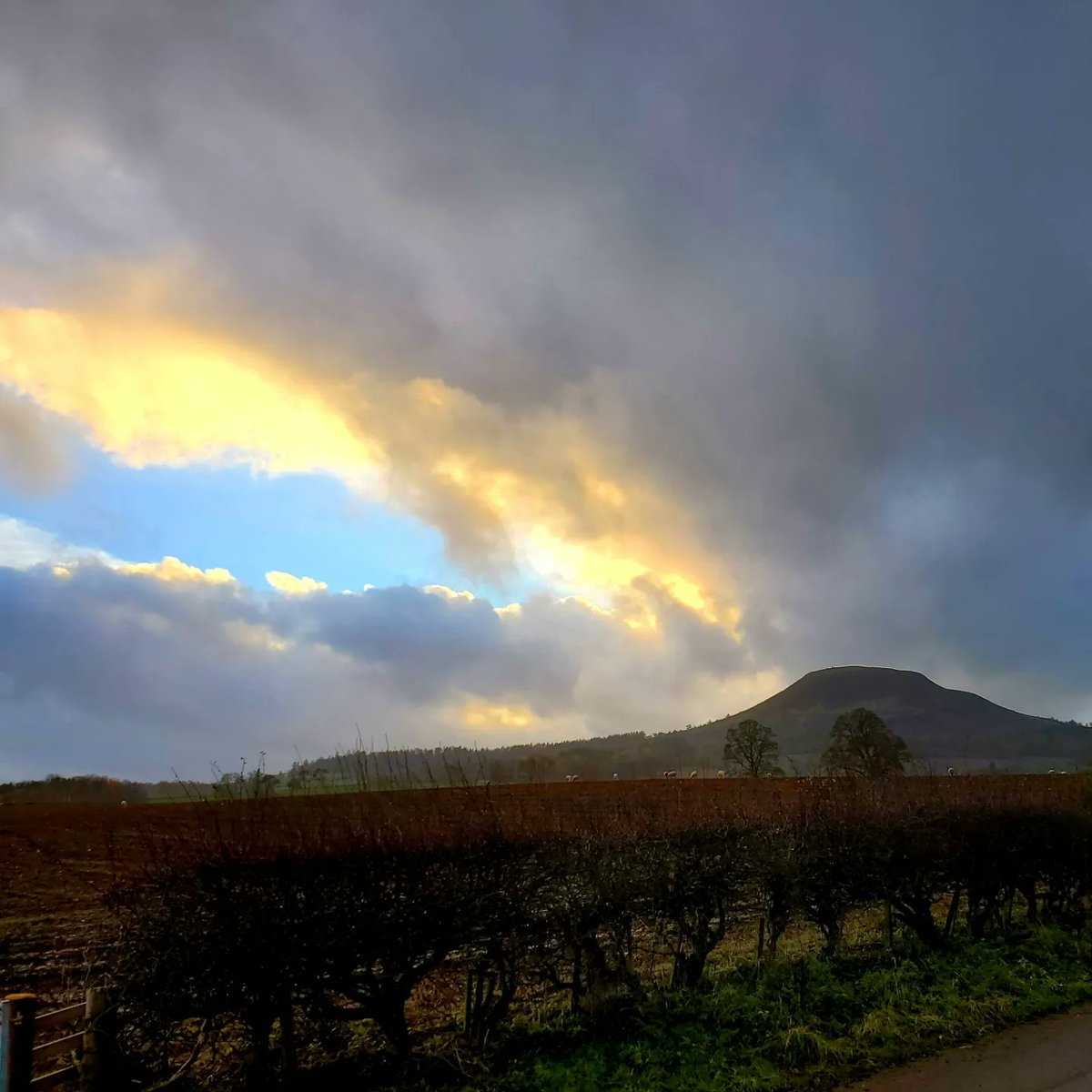 blonde_on_bikes's tweet photo. Afternoon walk from Melrose to Newstead @Sedgeburn
#trimontium #rhymersstone #eildonhills #melrosepaths #scottishborders #batterydyke https://t.co/JhYiwHEERk