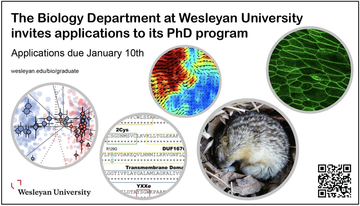 JohnsonFlyLab's tweet photo. Applying for Bio PhD programs? Don't overlook smaller institutions in favor of 'big name brands'. As a grad student @wesleyan_u you will be VALUED, have a VOICE, well COMPENSATED, and your GROWTH and SUCCESS will be prioritized. https://t.co/qTGvhtpX4U. https://t.co/HsXtQwTm1w