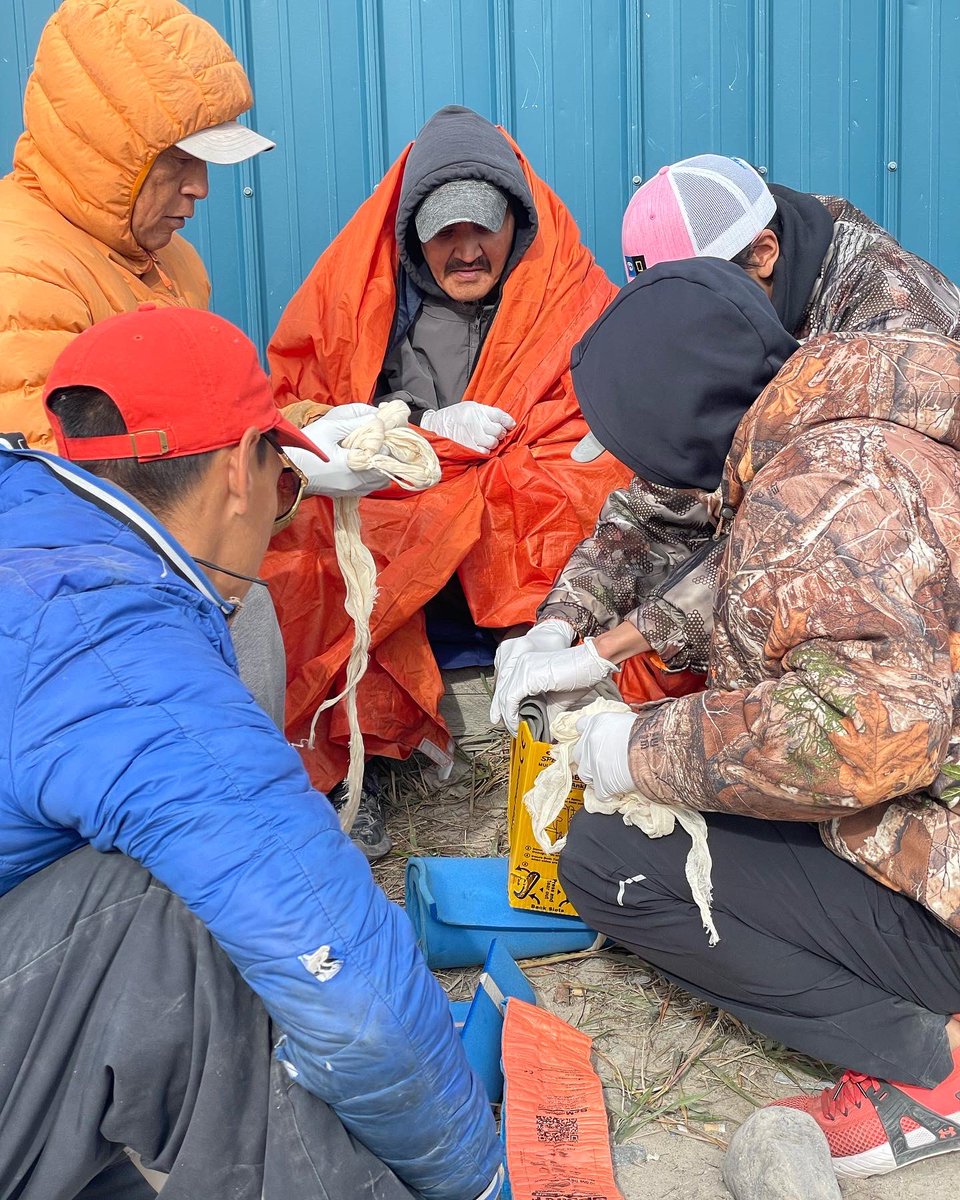Inukpak_O's tweet photo. #SiriusMedx WFA course in #gjoahaven, #nunavut to @ParksCanNunavut Guardians. 
These skilled local land experts &amp; our staff had fun all week, going through scenarios and lots of land knowledge sharing!
#truearcticexperience #inukpakoutfitting #wildernessfirstaid 
@ParksCanada https://t.co/cyB2LzNOKh
