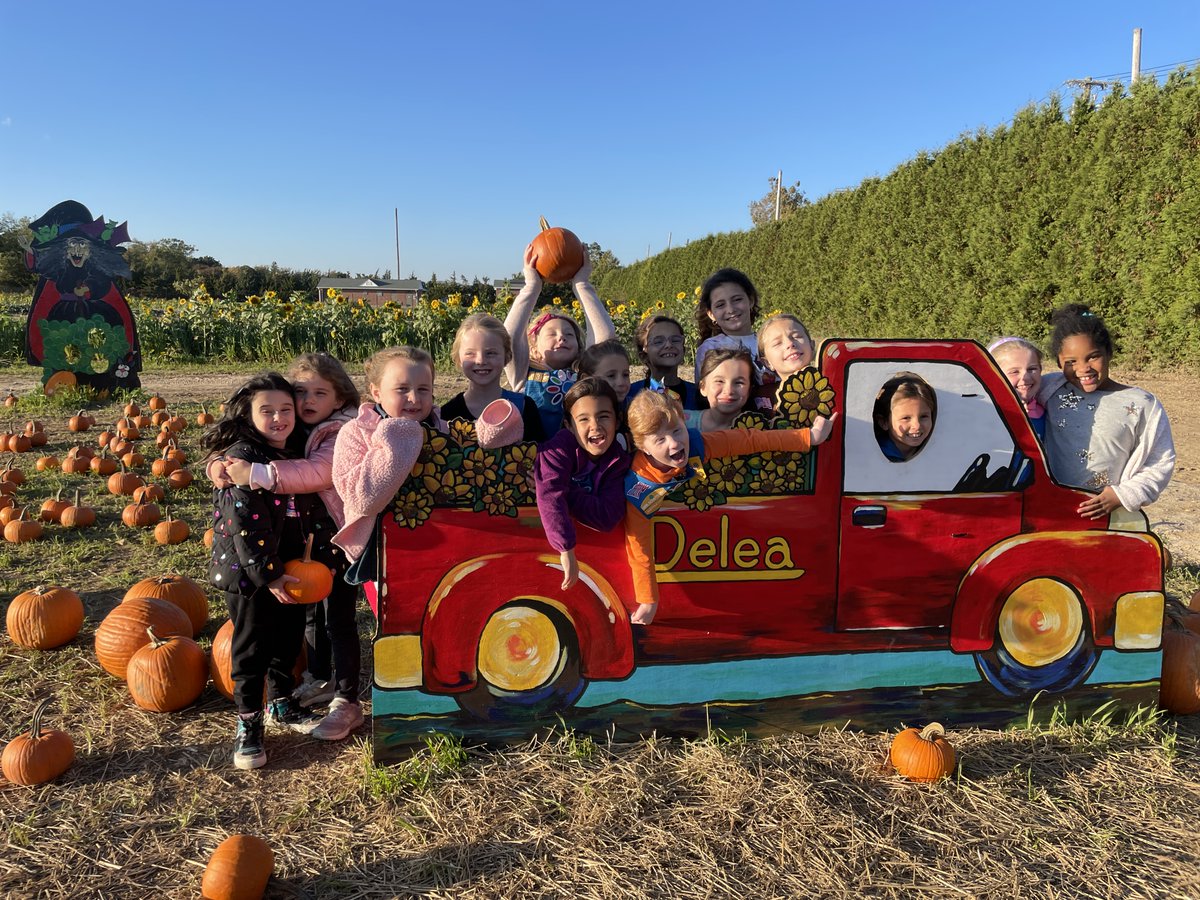 Girl Scouts Suffolk tweet media