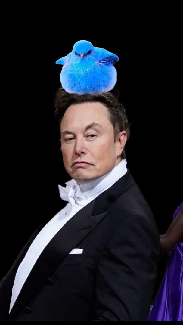 BingBingBong500's tweet photo. @MattWallace888 Revolutionary indeed, a veritable trailblazer.
If he steals any more patents and buy a few more companies that will be funded and bailed out with tax money he might even introduce a edit button eventually. #ItsNotRocketSurgery https://t.co/GQR1wJ0Vti