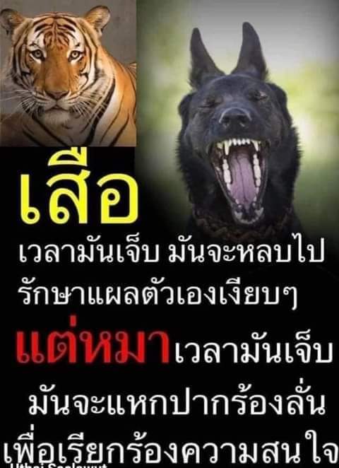 อยากจะหลบไปเยดกับคัยสักคน....นัดเราได้นะท่าม่วง-กาญบุรี