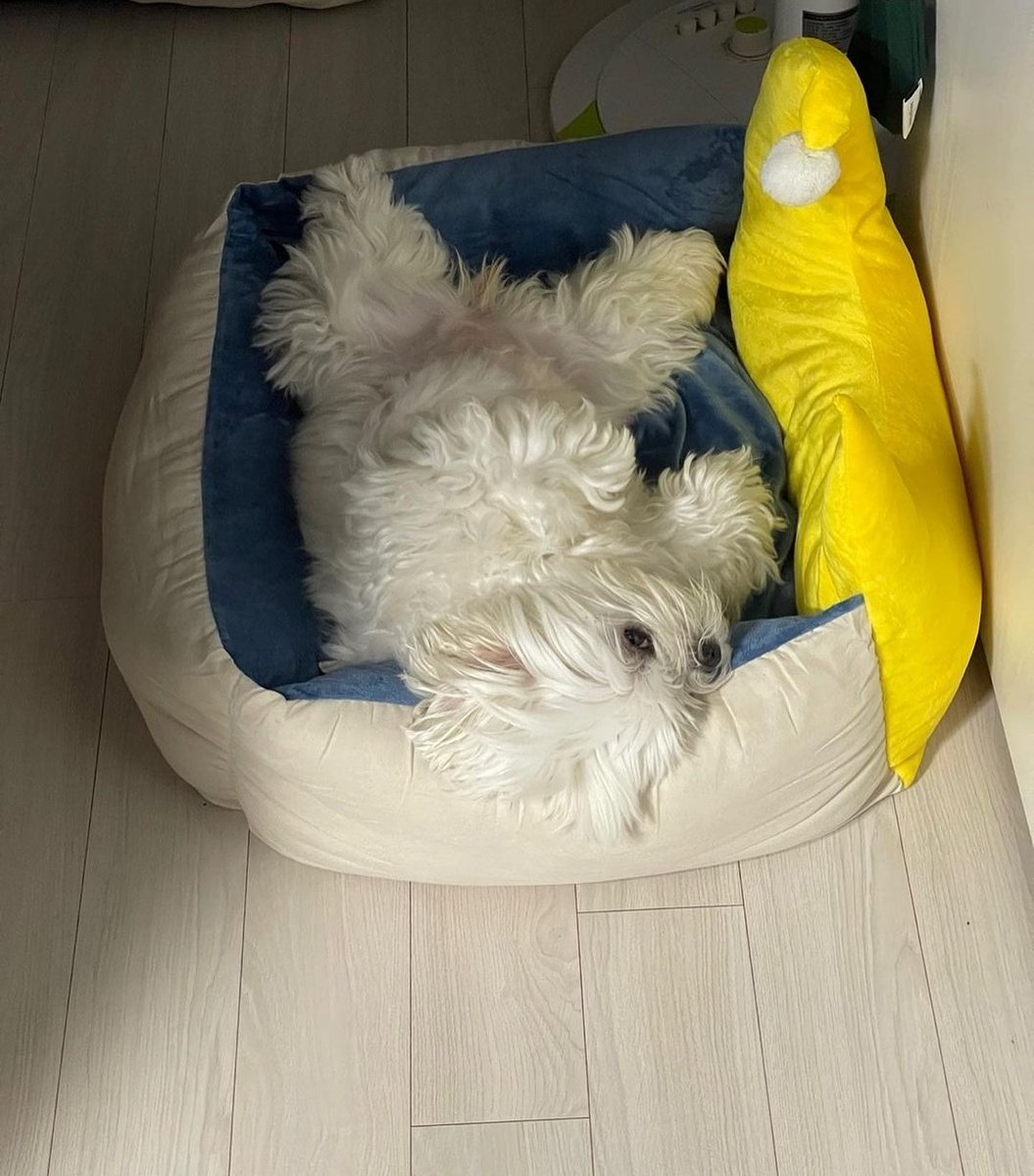 paulizwoo's tweet photo. They all updated.  I am so happy 💚💚💚

#PROTECTOMEGAX #OMEGA_X #hearomegaxvoice #ProtectOMEGA_X #StandwithOmegaX #justiceomegax #FORX https://t.co/H1FNEp25Yz