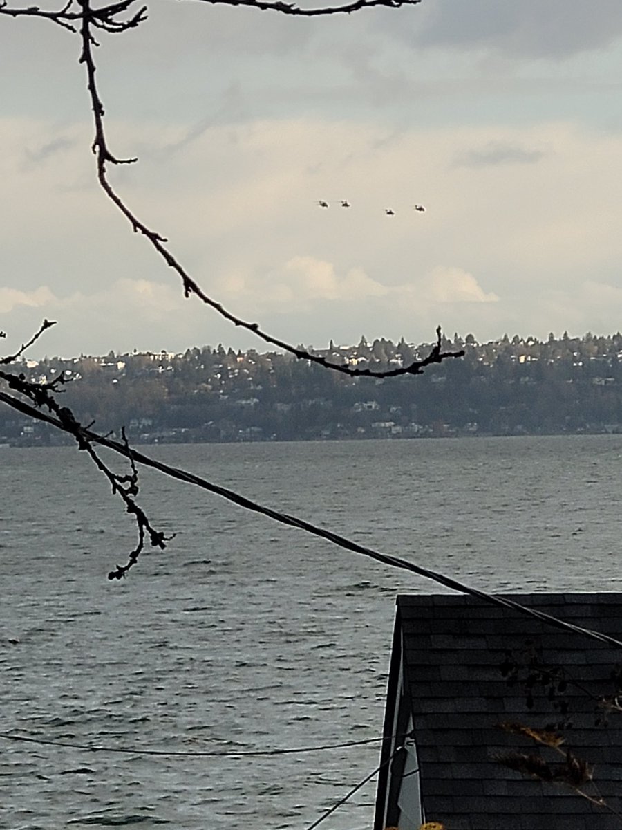 TwoPaddles's tweet photo. @westseattleblog do you know what's up with the helicopters over Arbor Heights area? https://t.co/itbXvB7Wbm