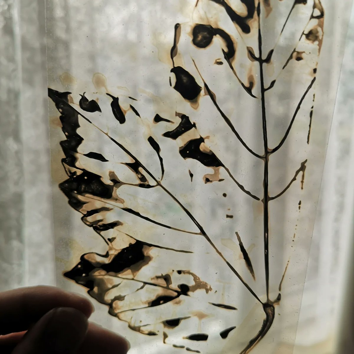 polskipoeta's tweet photo. Great phytogram workshop at @folkhouse with Sophie 😍🙏👏😍
#phytogram #weekend https://t.co/rh3XsZLFqw