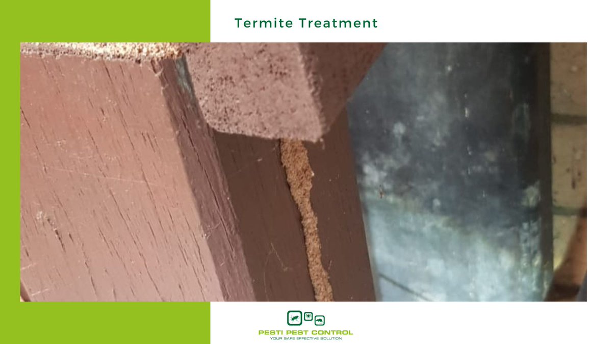 Pestipest's tweet photo. Termite treatment in  Stock Rd, Attadale Perth WA.

Your #pestcontrolcompany in #Perth #pestipestcontrol
Contact us https://t.co/1pSwNT0AEF
Office: 0412 485 957
solutions@pestipestcontrolperth.com.au https://t.co/FUeb6mdoaB