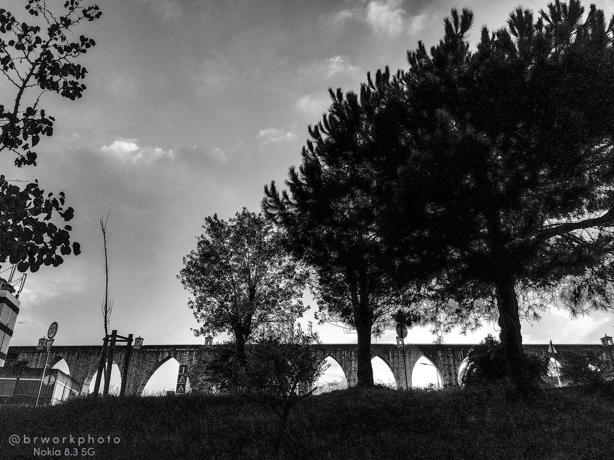 brunocesarodri's tweet photo. #brworkphoto #nokiaphotography #ShotOnNokia #mobilephotography #nokiapureview #pureview #lovetrustkeep #arteseduzidaesedutora #nokia8dot35g #blackandwhite #bw_photooftheday #bnw_planet #pretoebranco #bnw_inst #bnw_photo #bnw_captures #bnwsouls #bnwphoto #bnw_shot https://t.co/dyILpnCLq3