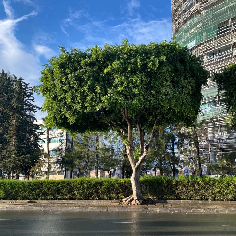 GROUNDING TECHNIQUES

facebook.com/tatjana.nikole…

#cst_osteo_limassol #cst_osteo_practice #cst_osteo_grounding