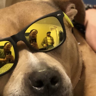 trDanielTiger's tweet photo. #NewProfilePic https://t.co/fYugcdwBgM