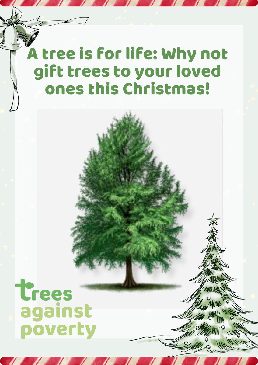 Christmas is around the corner. A tree is for life: Why not gift trees to your loved ones this Christmas? treesagainstpoverty.org
#Christmas #Christmastree #Gift #ChristmasGift #Plant #TreeForChristmas #TreesAgainstPoverty #plantatree #planttrees #saveenvironment #savelives