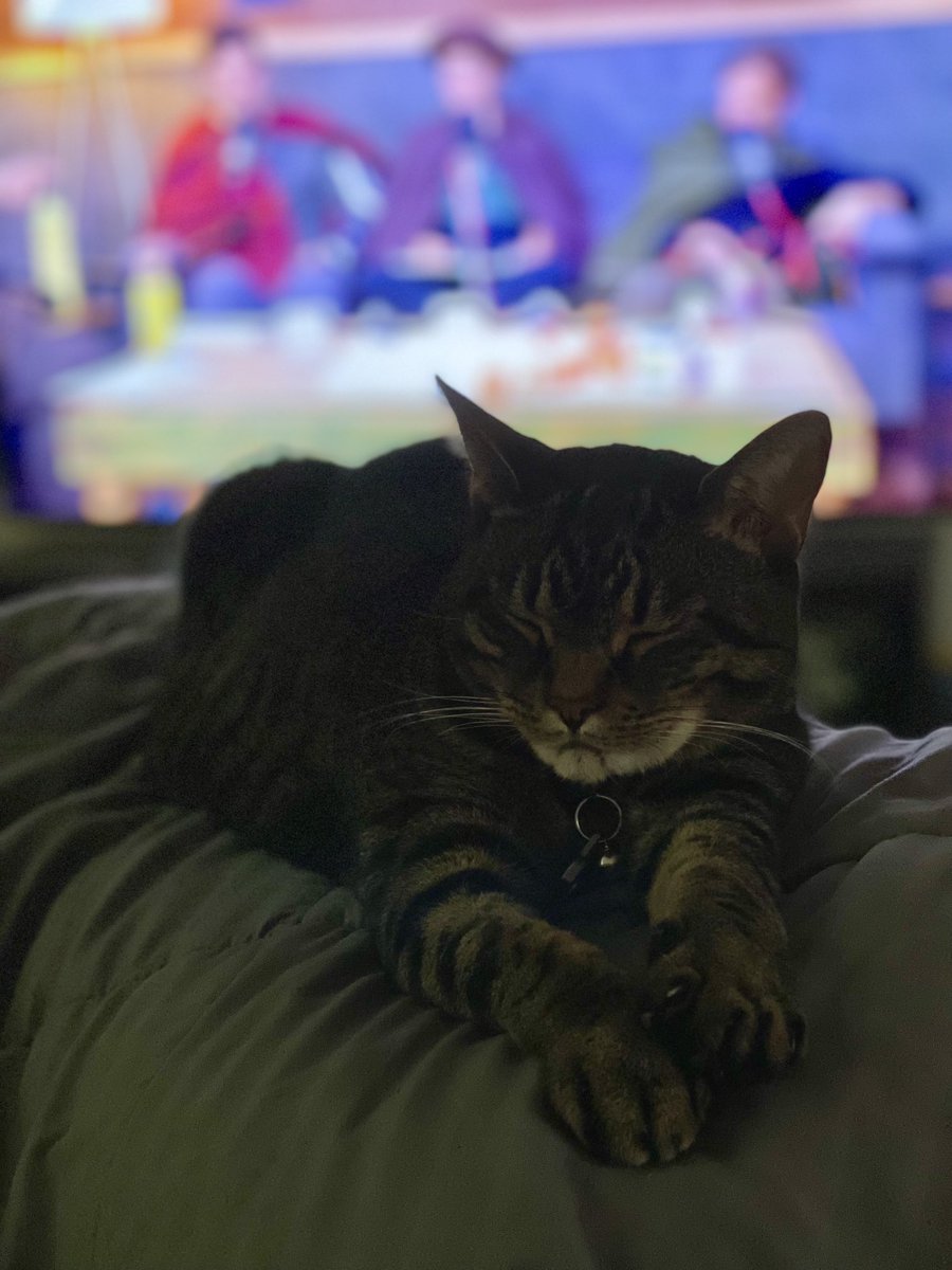 Twitter is still good for sharing a lazy Sunday with ⁦<a href="/MandoDoesStuff/">Armando Torres</a>⁩ ⁦<a href="/JamesWillems/">James Willems</a>⁩ ⁦<a href="/ElyseWillems/">Elyse Willems</a>⁩ ⁦<a href="/HandsomeMaster2/">Patrick Brown</a>⁩ ⁦<a href="/filmDstryr/">Daniel Schneider</a>⁩ ( And Arlo here ❤️ )playing #MustBeDice #SuperPrincessRescueQuest