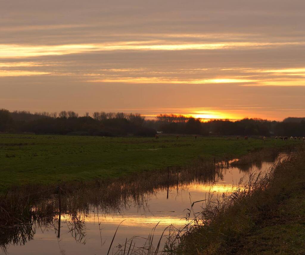 KeizerEllen's tweet photo. Dit was gisteren β¦
#vandaaglekkerbinnen #photobyme #balij #koeien #hoevebiesland https://t.co/RaEZEaI7zS https://t.co/XDMs6b3Bib