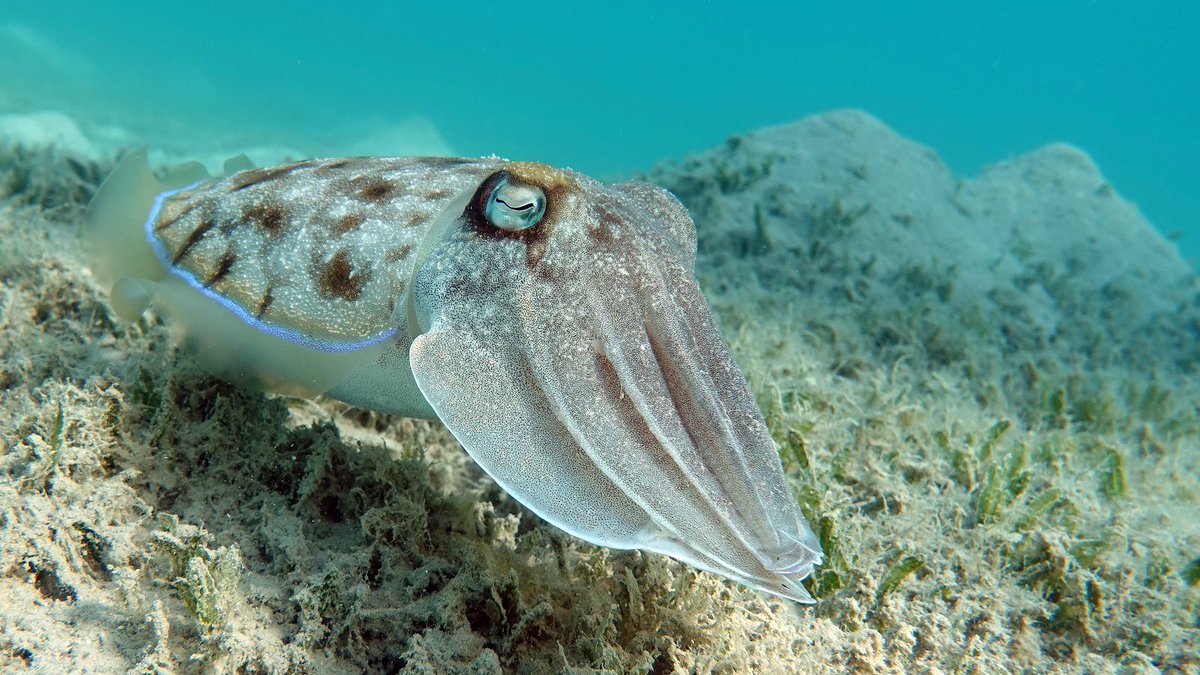 Jeremy Roberts tweet media