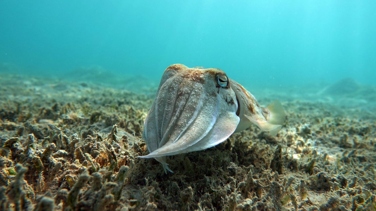 Jeremy Roberts tweet media