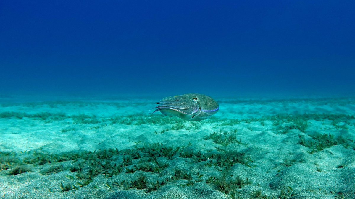 Jeremy Roberts tweet media