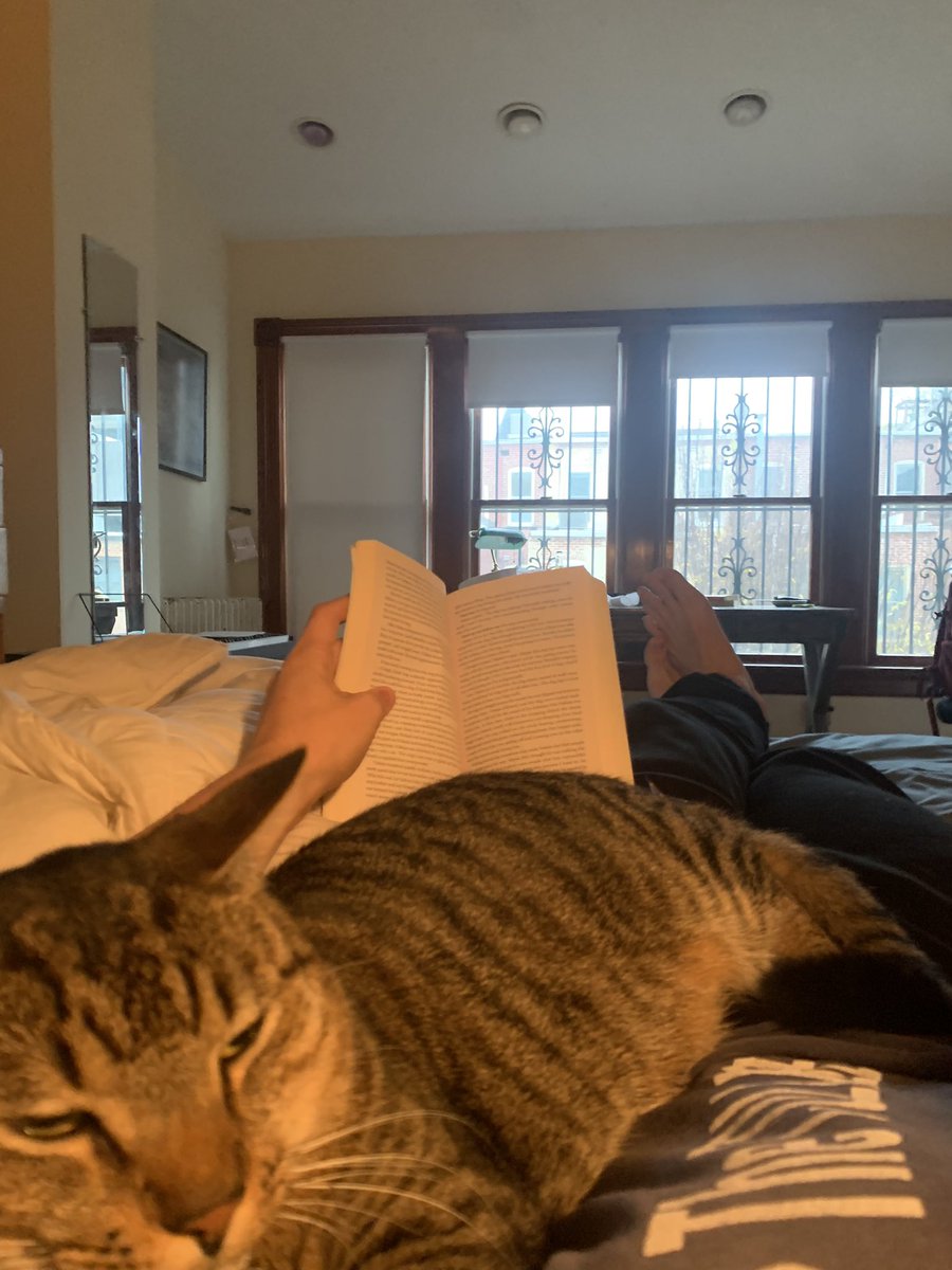 Living a lofi-beats-to-study-to fantasy