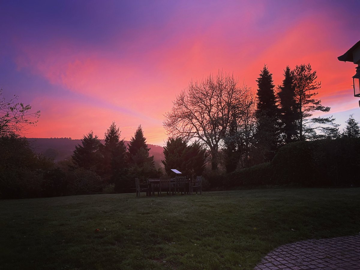 HigherEggbeer's tweet photo. Shepherds delight!? https://t.co/REHmNJaUbC