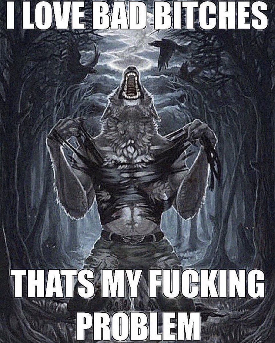 recluse population (@reclusepop) on Twitter photo 