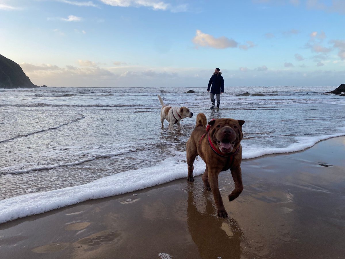 adrian_hearn's tweet photo. Fantastic couple of days in North Devon, staying in Skirr Cottage, former home of Henry Williamson, author of Tarka the Otter which he wrote 3 doors down. Stunning beaches of Putsborough &amp; Croyde nearby. Can recommend The Rock Inn for its food and drink. https://t.co/3tNhgKyKqo https://t.co/VCeGuGNG7g