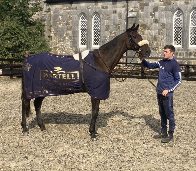 It is really sad news to hear that we lost the great Monty’s Pass a few weeks short of his 30th Birthday he was such a gorgeous kind horse who gave us all some amazing days 🤩🤩
He was in great form and looked so well when I visited him in September👑