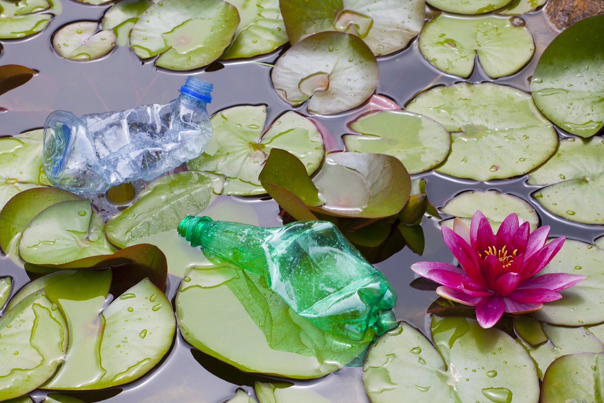 SilverBirchPres's tweet photo. "Cleaning Miller Pond," poem by Merrill Oliver Douglas (ONE GOOD MEMORY Series) @ChemungCounty
https://t.co/xViHNuOueR
#poetry #environment #pondcleanup https://t.co/AmUzsxrqCq