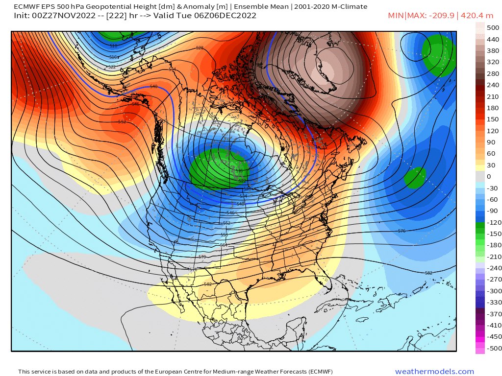 Anthony M tweet media