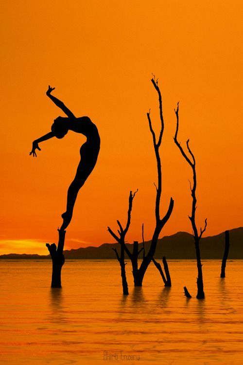 VieNatureSavoir's tweet photo. Good evening 💫⭐️💃 https://t.co/UAzyEgpIiQ