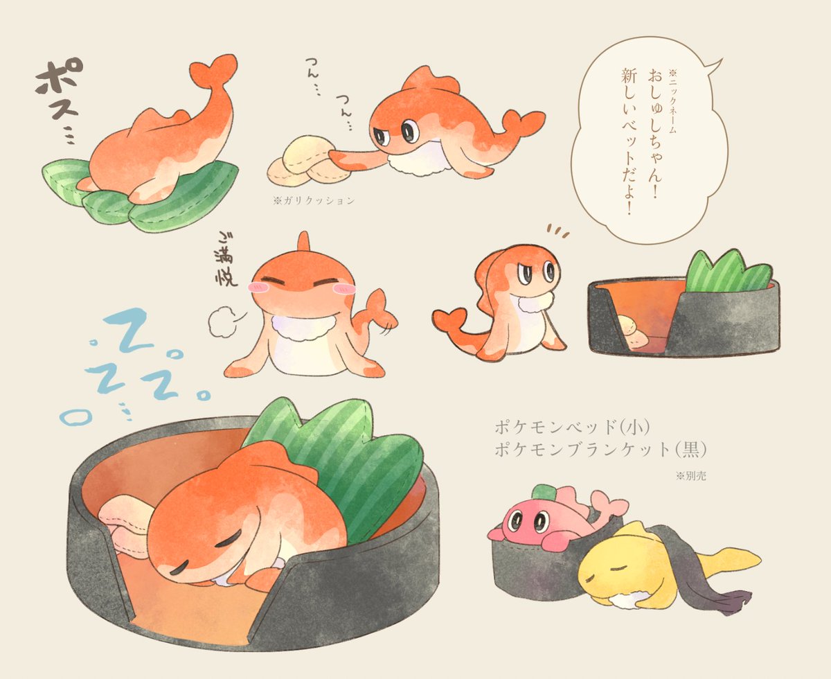 シャリタツちゃん🍣にベッドを与えたい…🥹 