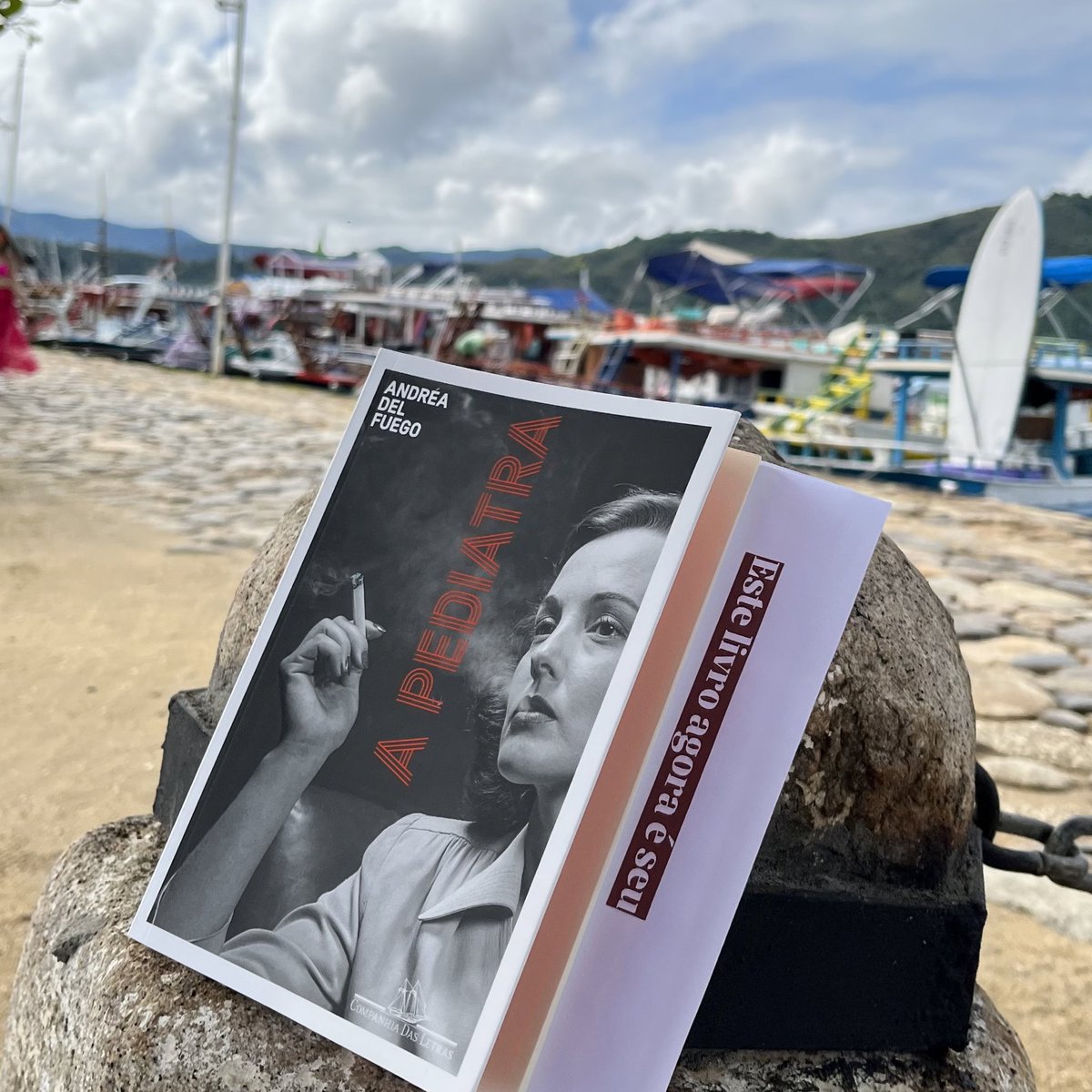 Neste último dia de Flip, espalhamos vários livros por Paraty para que vocês encontrem!

Quem aqui esbarrou com um deles  e já garantiu a sua próxima leitura? 📚 #CompanhiaNaFlip